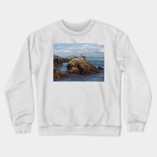 Galapagos Brown Pelican Crewneck Sweatshirt